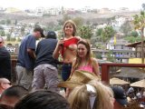 Click to view big image Flasher4675.jpg